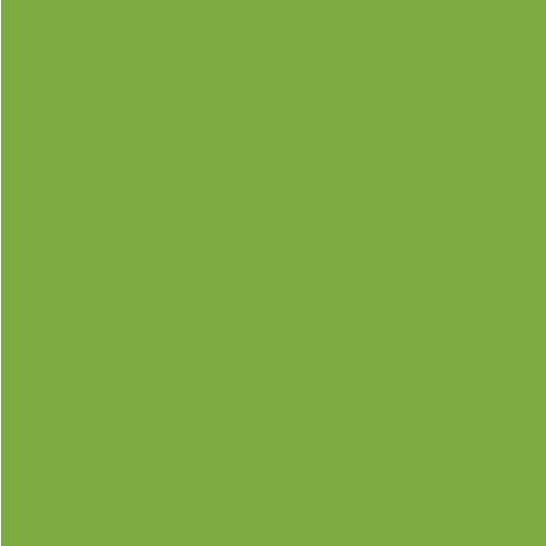 Apple Green Opaque HTV